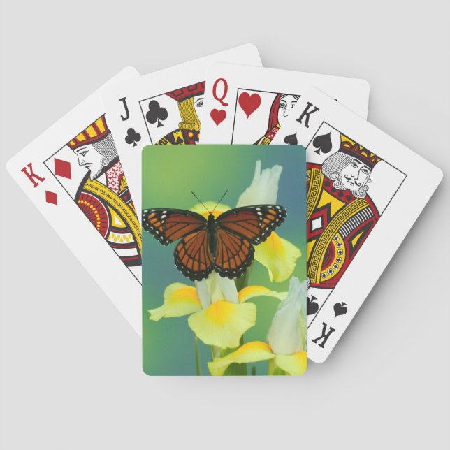 Jeu De Cartes Un papillon Viceroy sur un iris japonais jaune (dos)