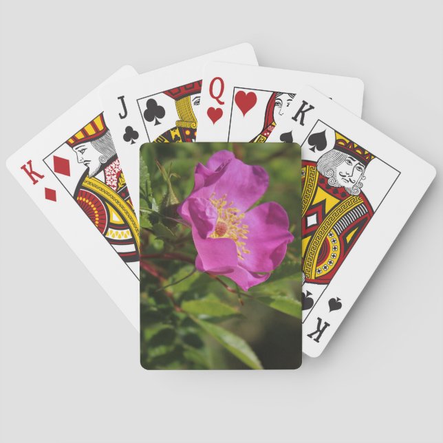 Jeu De Cartes Un sauvage simple s'est levé (dos)