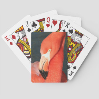 Jeu de cartes unique aux flamants roses