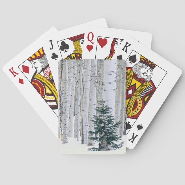 Jeu De Cartes UTAH. USA. Aspen (Populus tremuloides) et Douglas (dos)