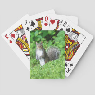Jeu De Cartes Vélo écureuil Jouer aux cartes