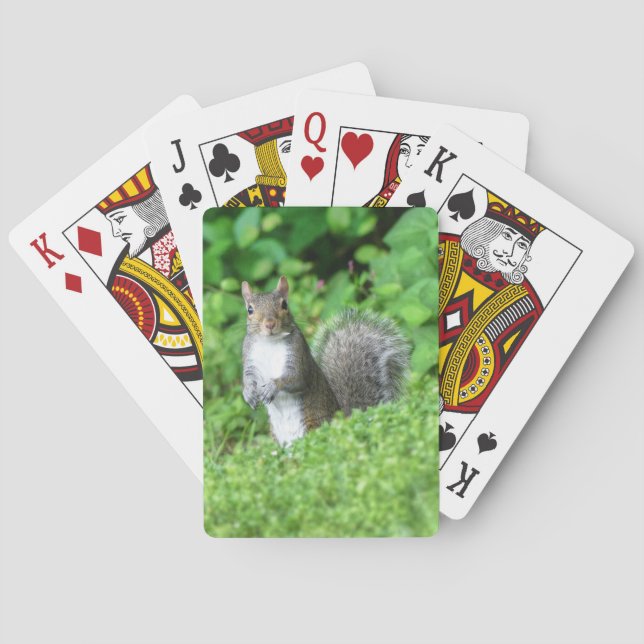 Jeu De Cartes Vélo écureuil Jouer aux cartes (dos)