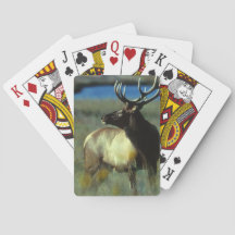 Vélos Elk Jouer aux cartes