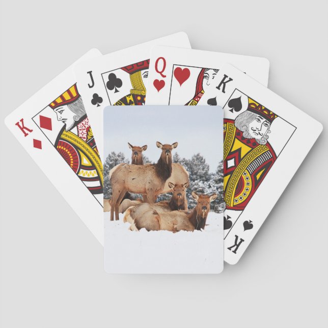 Jeu De Cartes Vélos en Elk de vache Jouer aux cartes (dos)