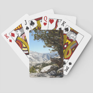 Jeu De Cartes Vieil arbre au parc national de Yosemite