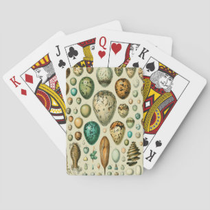 Jeu De Cartes Vintage Bird Eggs French Fish Egg