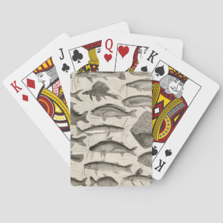 Jeu De Cartes Vintage Scientifique Poisson Natation Amazonie Riv