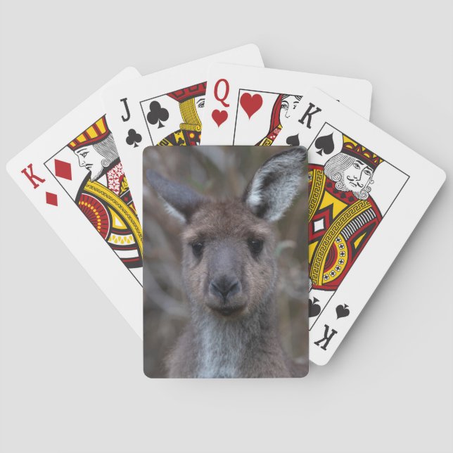 Jeu De Cartes Visage de Kangaroo (dos)