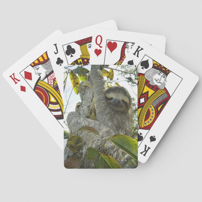 Jeu De Cartes Vivre la vie comme une Sloth (dos)