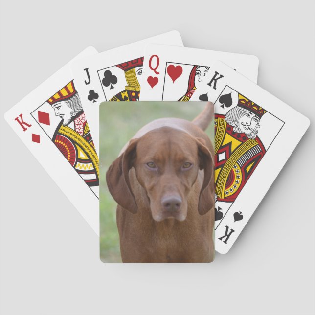 Jeu De Cartes Vizsla aimable (dos)