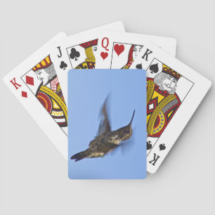 Jeu De Cartes Vol du colibri