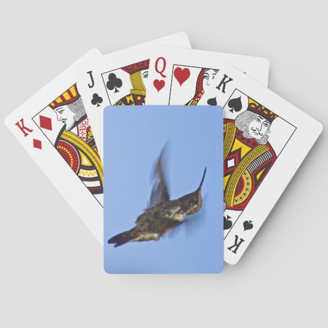 Jeu De Cartes Vol du colibri (dos)