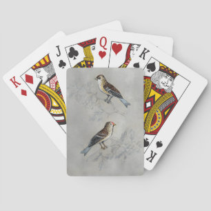 Jeu De Cartes Volière argentée   deux oiseaux