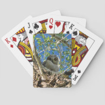 Vous regardant jouer aux cartes
