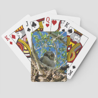 Jeu De Cartes Vous regardant jouer aux cartes