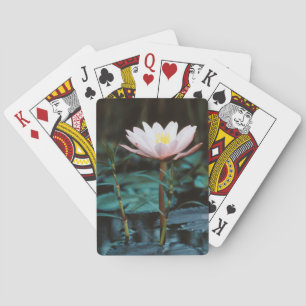 Jeu De Cartes Vue rapprochée de nénuphar à Inle Lake