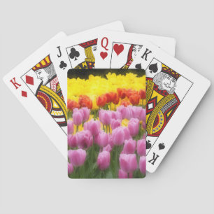 Jeu De Cartes WA, vallée de Skagit, jardin de tulipes Roozengaar