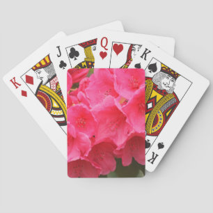 Jeu De Cartes Washington, Seattle, Puget Sound, Parc Discovery