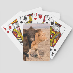 Jeu De Cartes Western Cattle Cows Walking Together Rural Scene