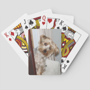 Jeu De Cartes Westie adorable/Yorkie