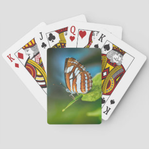Jeu De Cartes White and Orange Striped Butterfly