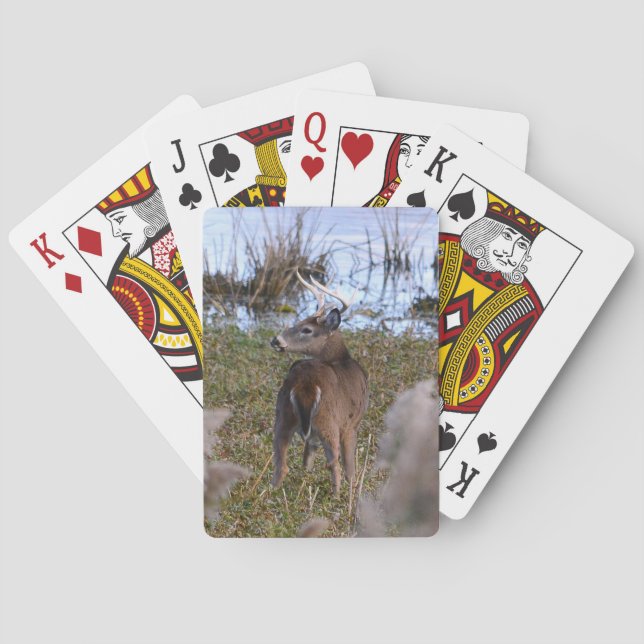 Jeu De Cartes Whitetail Buck Lecture Cartes (dos)