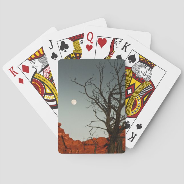 Jeu De Cartes Wicked Moon (dos)