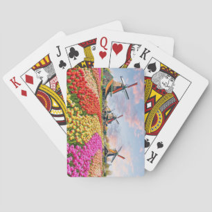 Jeu De Cartes Windmills, Keukenhof, Pays-Bas
