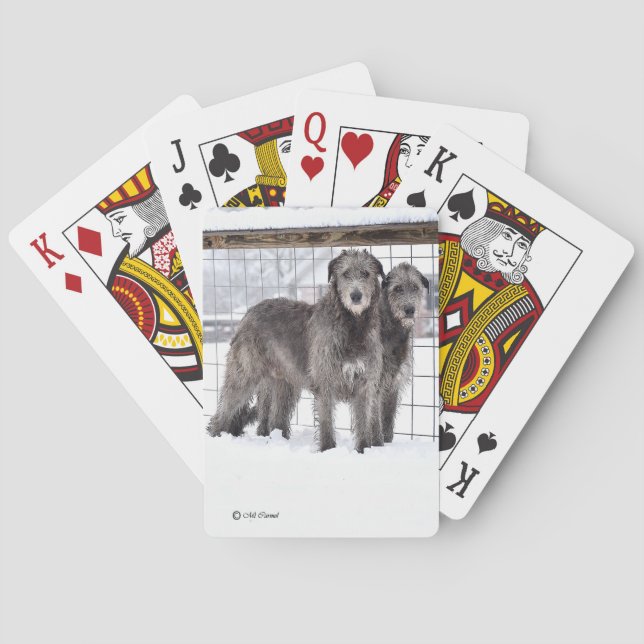 Jeu De Cartes Wolfhounds irlandais en neige (dos)