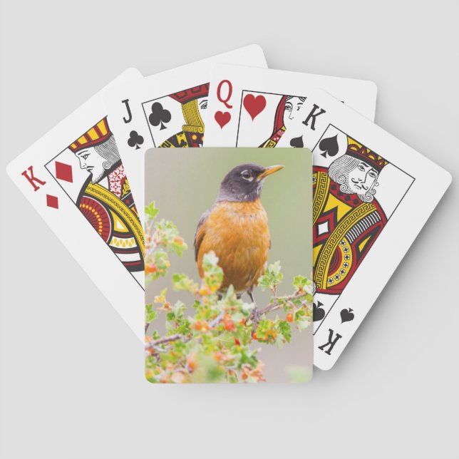 Jeu De Cartes Wyoming, comté de Sublette, un merle américain (dos)