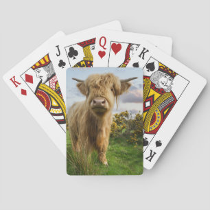 Jeu De Cartes Young Highland Cow