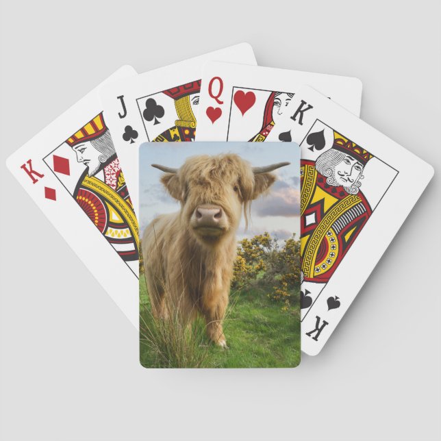 Jeu De Cartes Young Highland Cow (dos)
