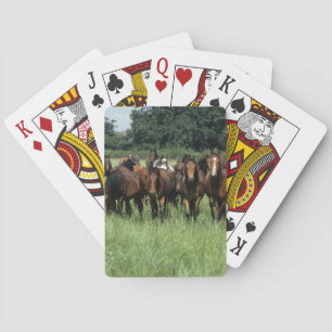 Jeu De Cartes Youngers