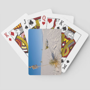 Jeu De Cartes Yucca Soaptree, ombre longue, dunes transversales