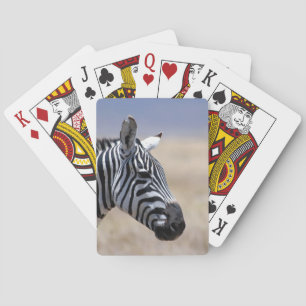Jeu De Cartes Zèbre