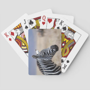 Jeu De Cartes Zèbre