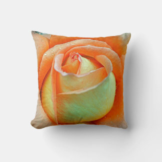 Jeu de coussin de Rose de pêche