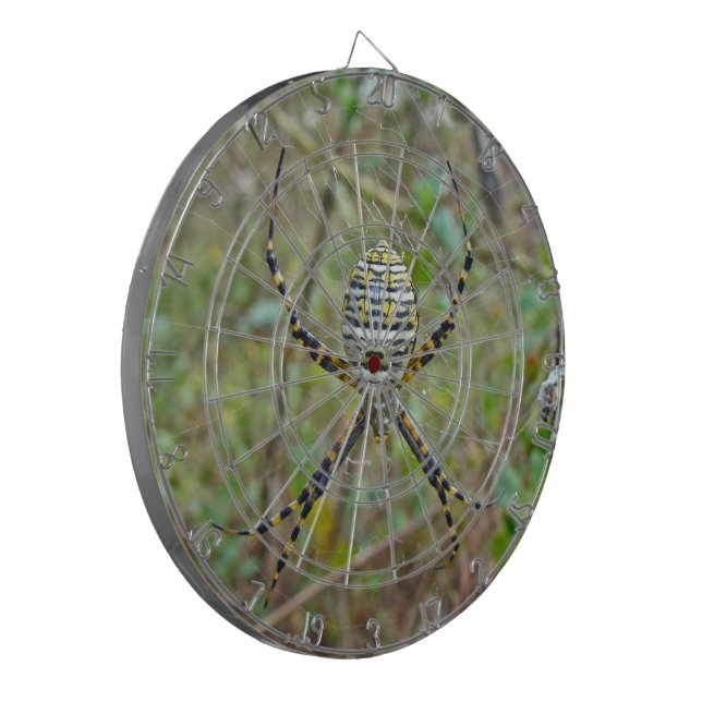 Jeu De Fléchettes Argiope trifasciata Orb Weaver Spider (Devant gauche)