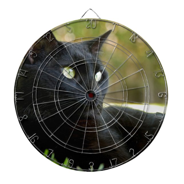 Jeu De Fléchettes Chat noir (Devant)