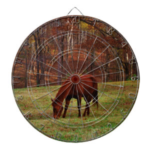Jeu De Fléchettes Cheval Brown avec nez blanc au bord des bois