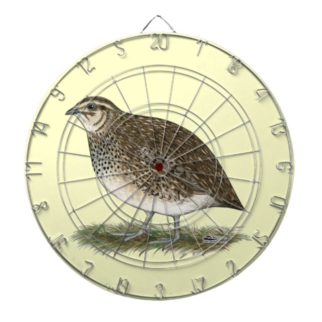 Jeu De Fléchettes Coturnix Quail (Devant)