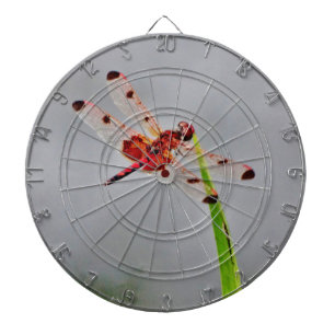 JEU DE FLÉCHETTES DSC00029.JPG