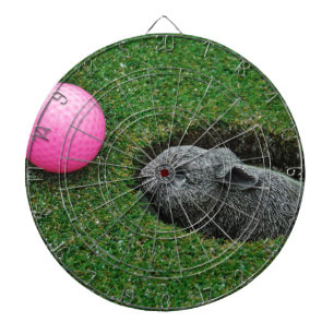 JEU DE FLÉCHETTES DSCF0652.JPG