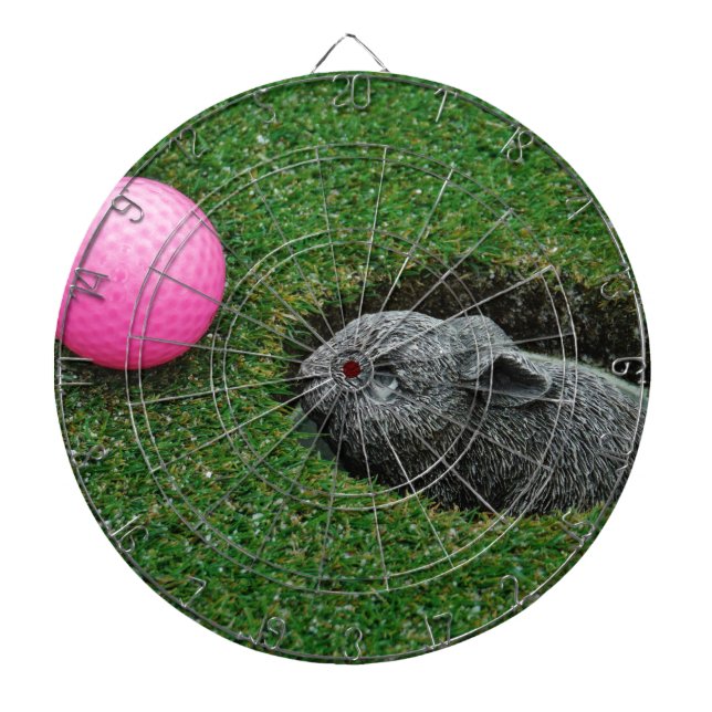 JEU DE FLÉCHETTES DSCF0652.JPG (Devant)