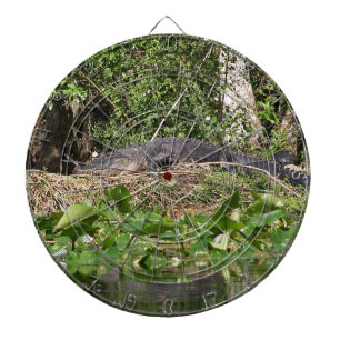 Jeu De Fléchettes Gator luv zoom pic