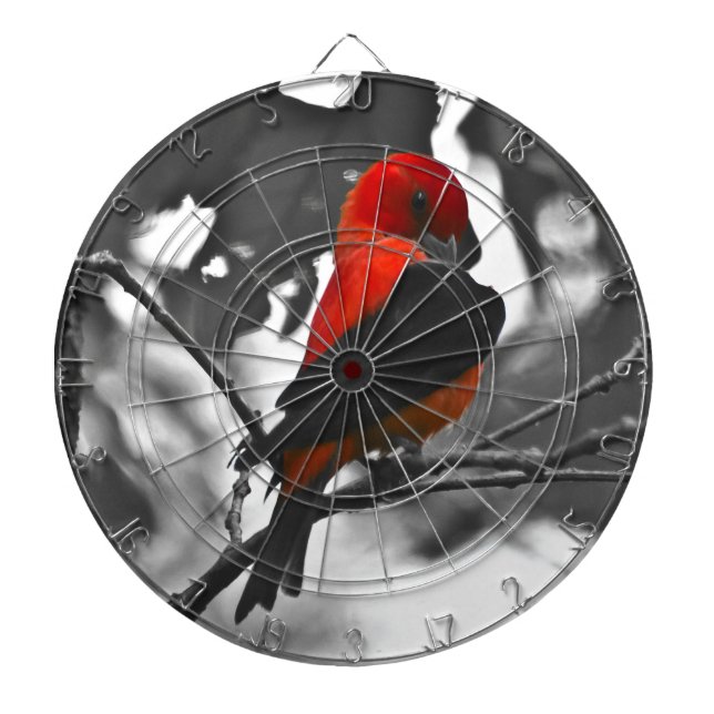 Jeu De Fléchettes Homme Scarlet Tanager (Devant)