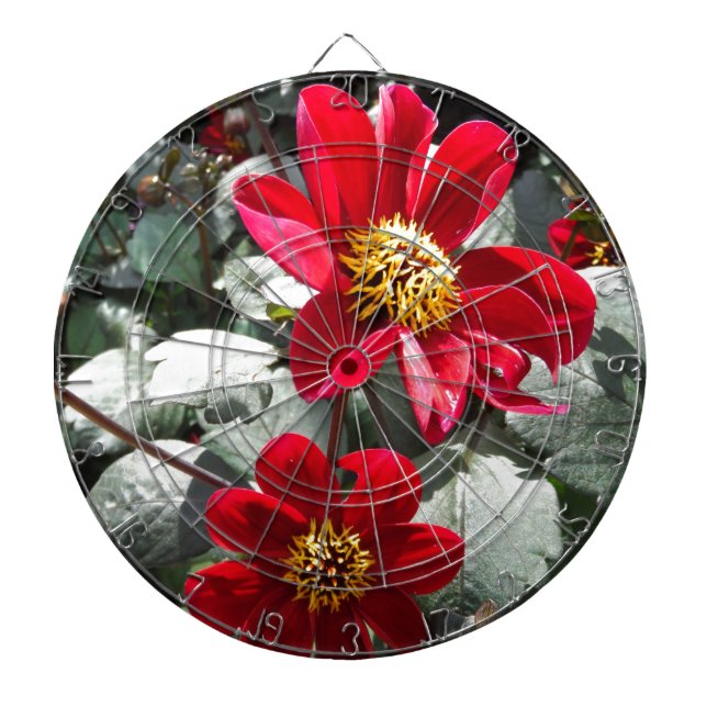 Jeu De Fléchettes marguerite rose chaud rouge / marguerites fleurs (Devant)