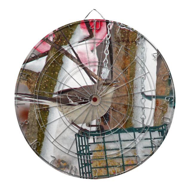 Jeu De Fléchettes Oiseau (Devant)