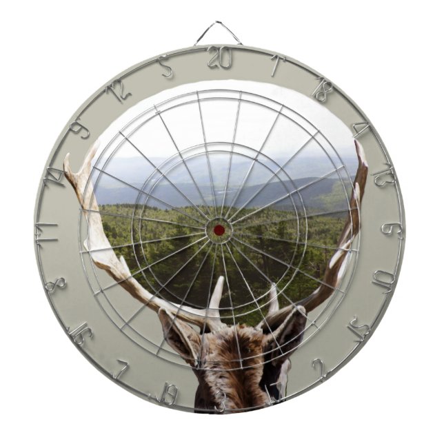 Jeu De Fléchettes Son domaine (Devant)