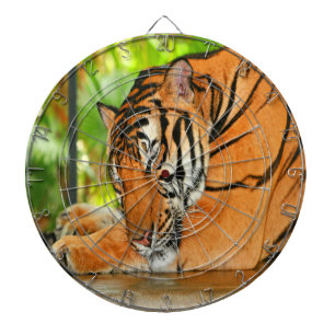 Jeu De Fléchettes Tigre couchant